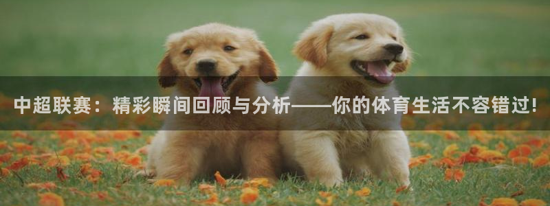 中超联赛：精彩瞬间回顾与分析——你的体育生活不容错过!